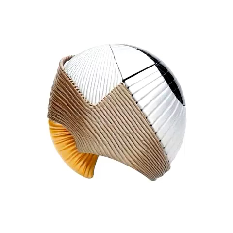 Issey Miyake Core aesthetic style on meCore